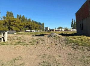 Lotes y Terrenos